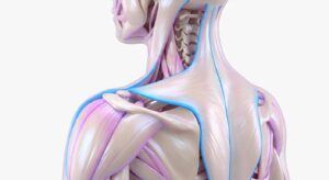 아름다운 어깨 라인과 목선을 보여주는 3D 일러스트레이션